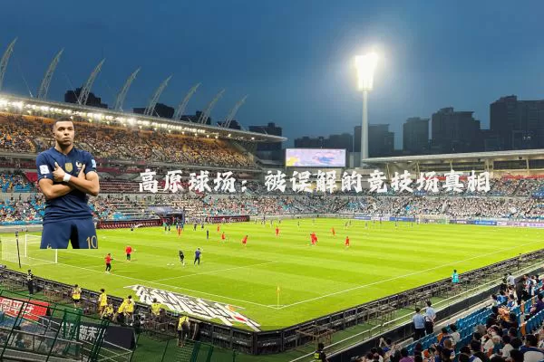 高原球场：被误解的竞技场真相