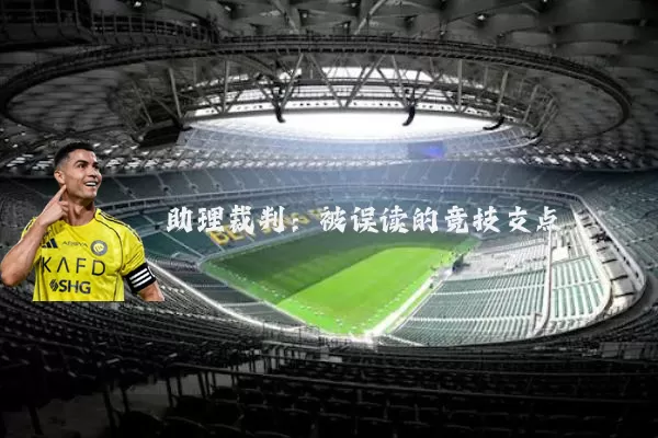 助理裁判：被误读的竞技支点